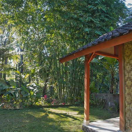 Tereng Wilis Jungle Inn Tetebatu Exterior foto