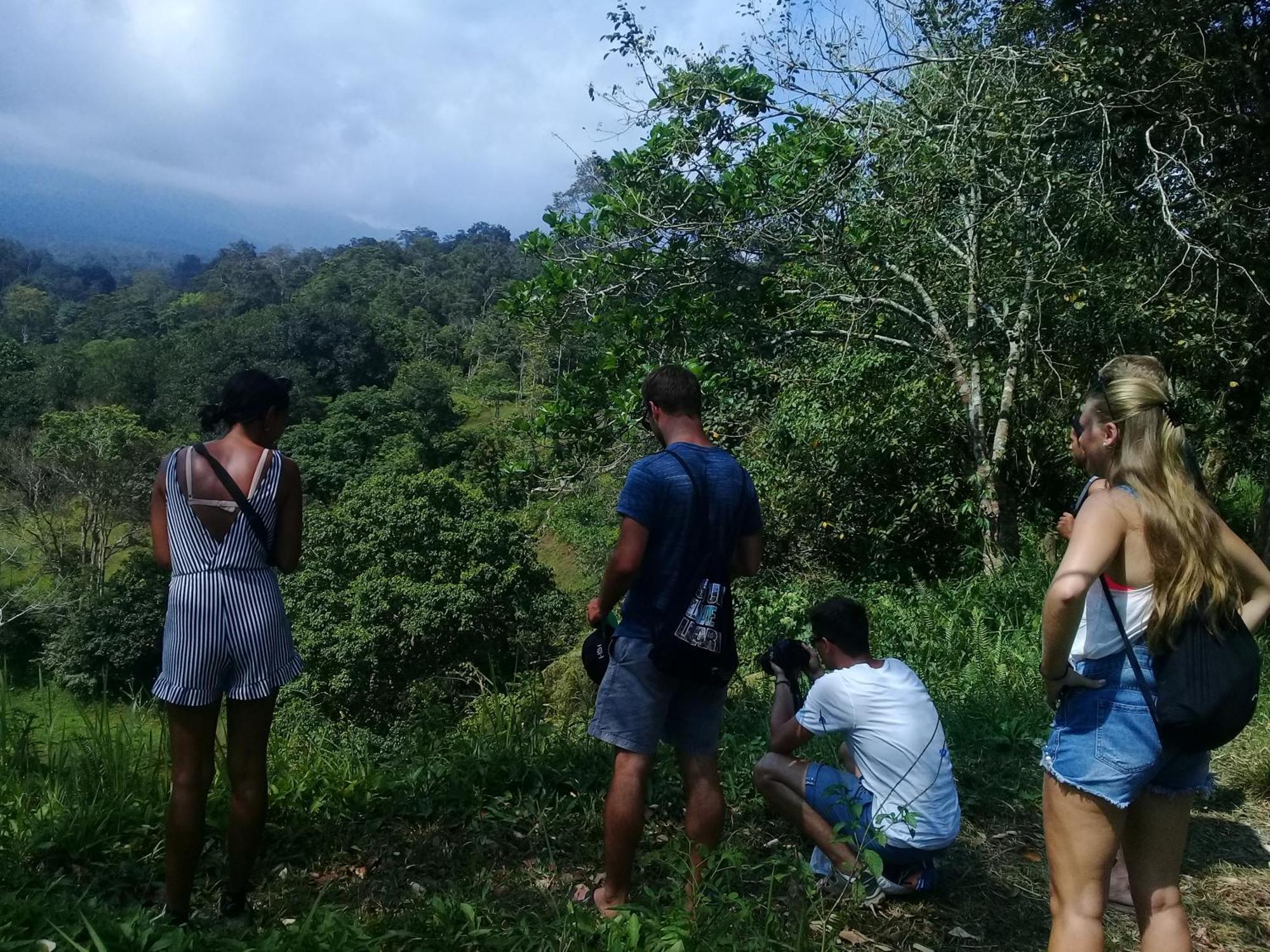 Tereng Wilis Jungle Inn Tetebatu Exterior foto