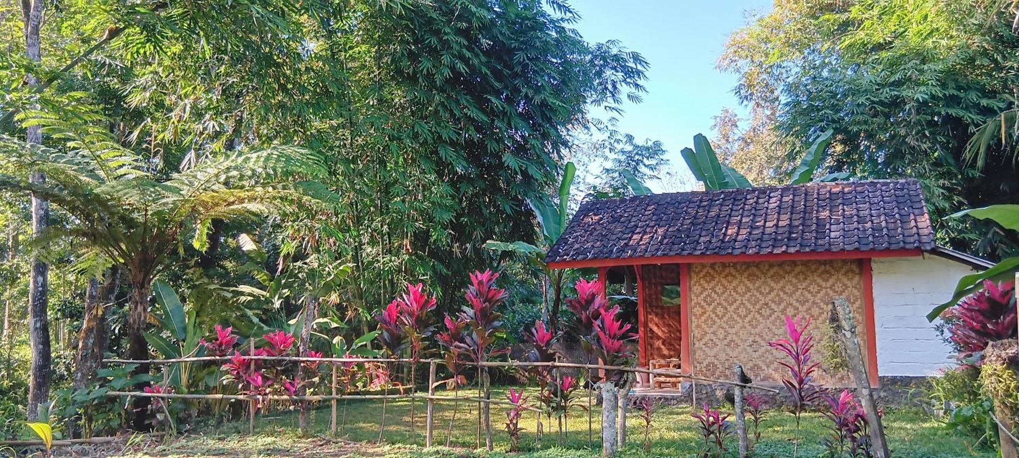 Tereng Wilis Jungle Inn Tetebatu Exterior foto