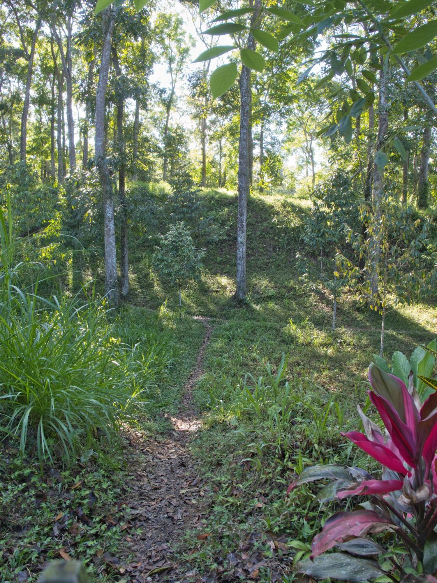 Tereng Wilis Jungle Inn Tetebatu Exterior foto