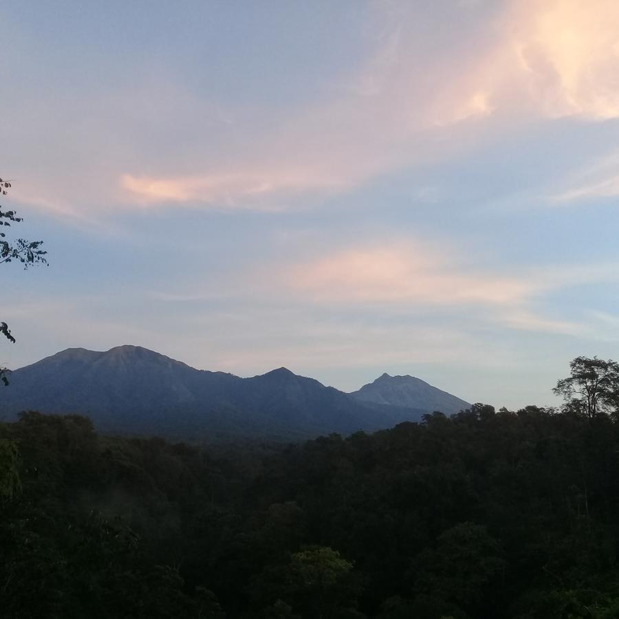 Tereng Wilis Jungle Inn Tetebatu Exterior foto
