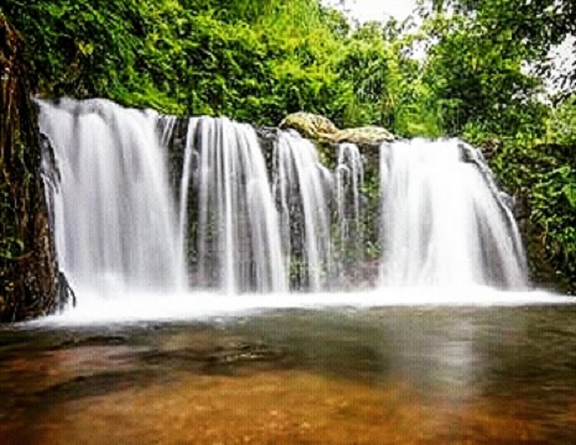 Tereng Wilis Jungle Inn Tetebatu Exterior foto