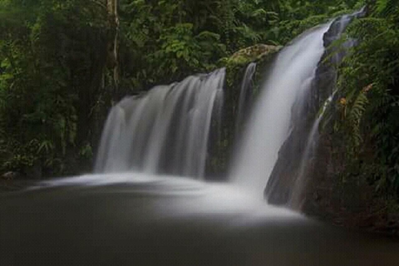 Tereng Wilis Jungle Inn Tetebatu Exterior foto