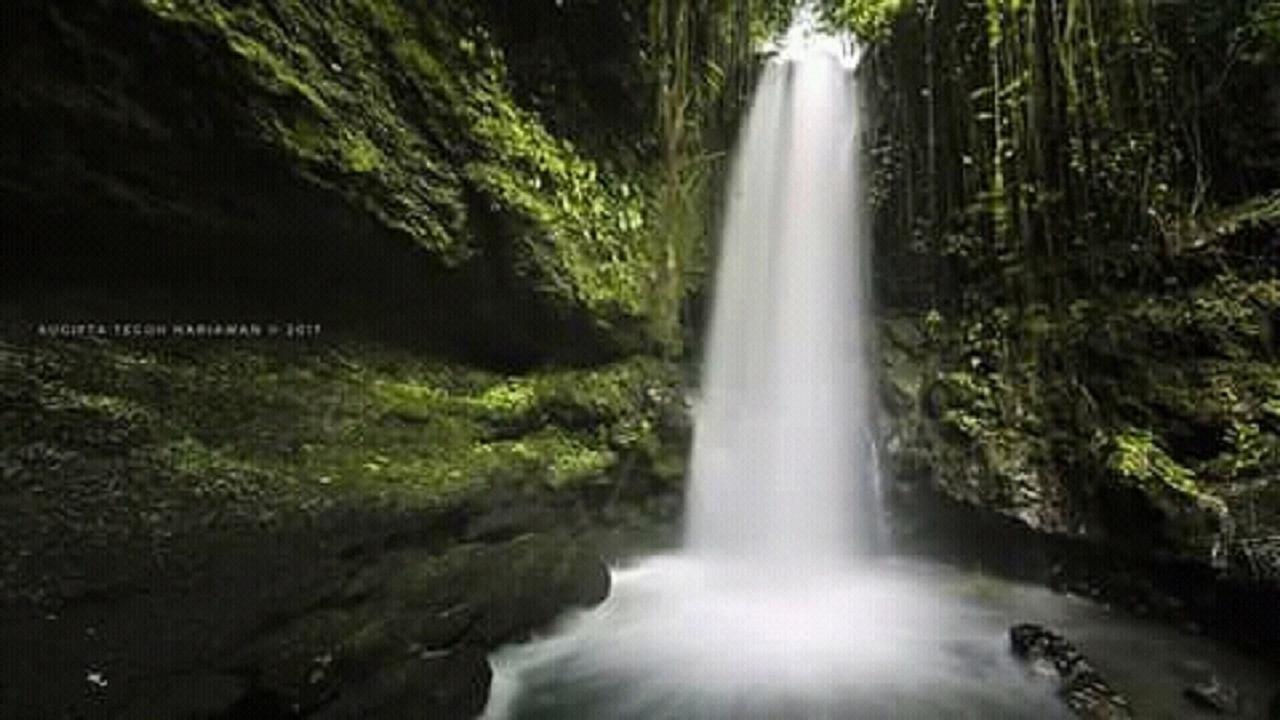 Tereng Wilis Jungle Inn Tetebatu Exterior foto