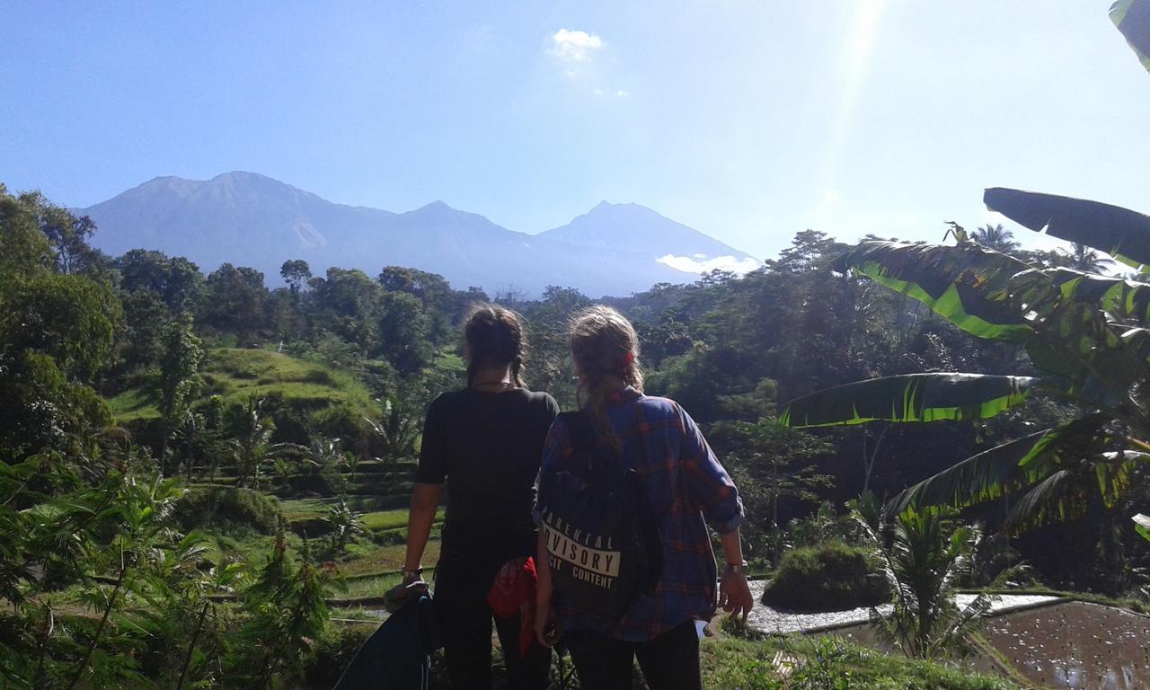 Tereng Wilis Jungle Inn Tetebatu Exterior foto