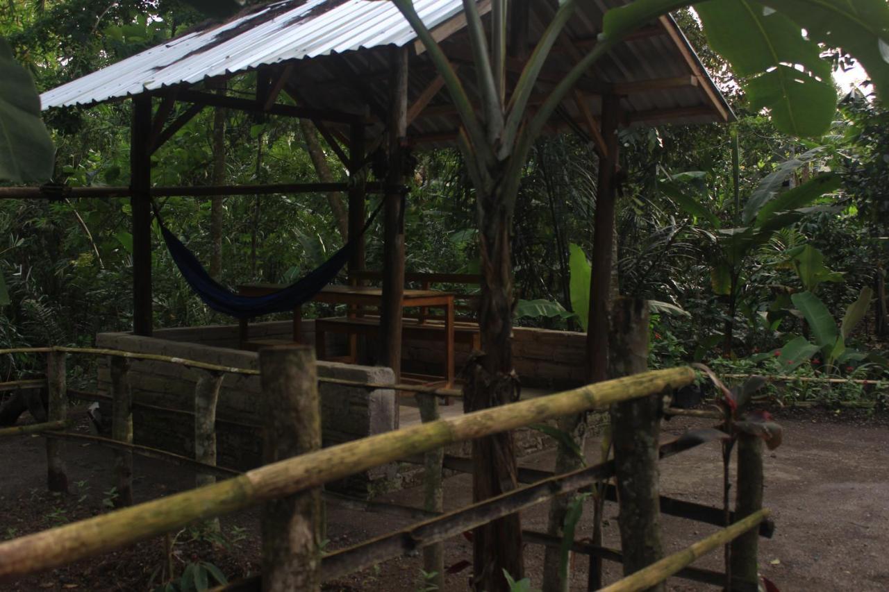 Tereng Wilis Jungle Inn Tetebatu Exterior foto