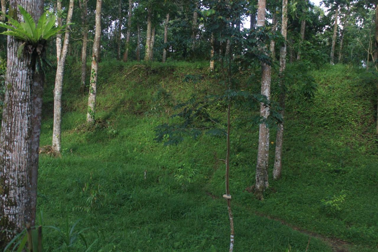 Tereng Wilis Jungle Inn Tetebatu Exterior foto
