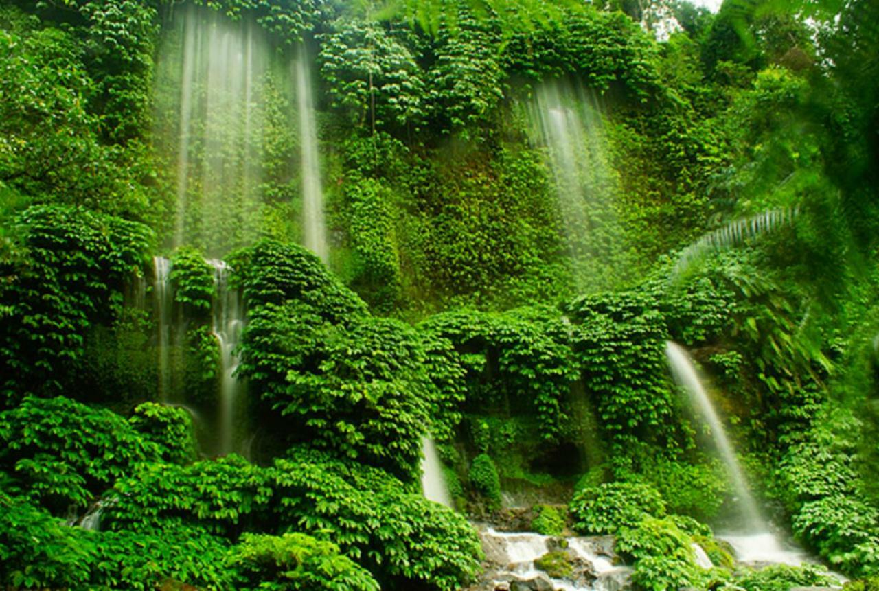 Tereng Wilis Jungle Inn Tetebatu Exterior foto