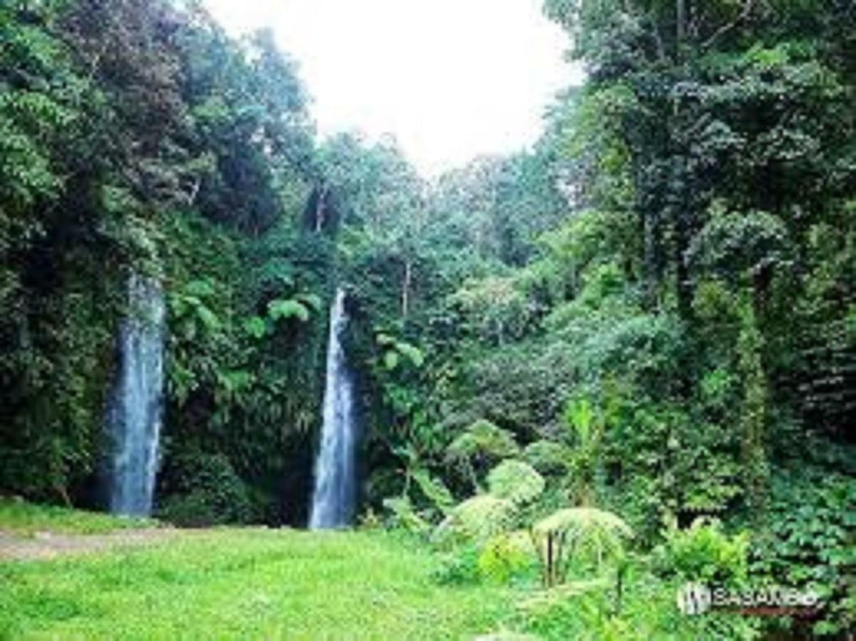 Tereng Wilis Jungle Inn Tetebatu Exterior foto
