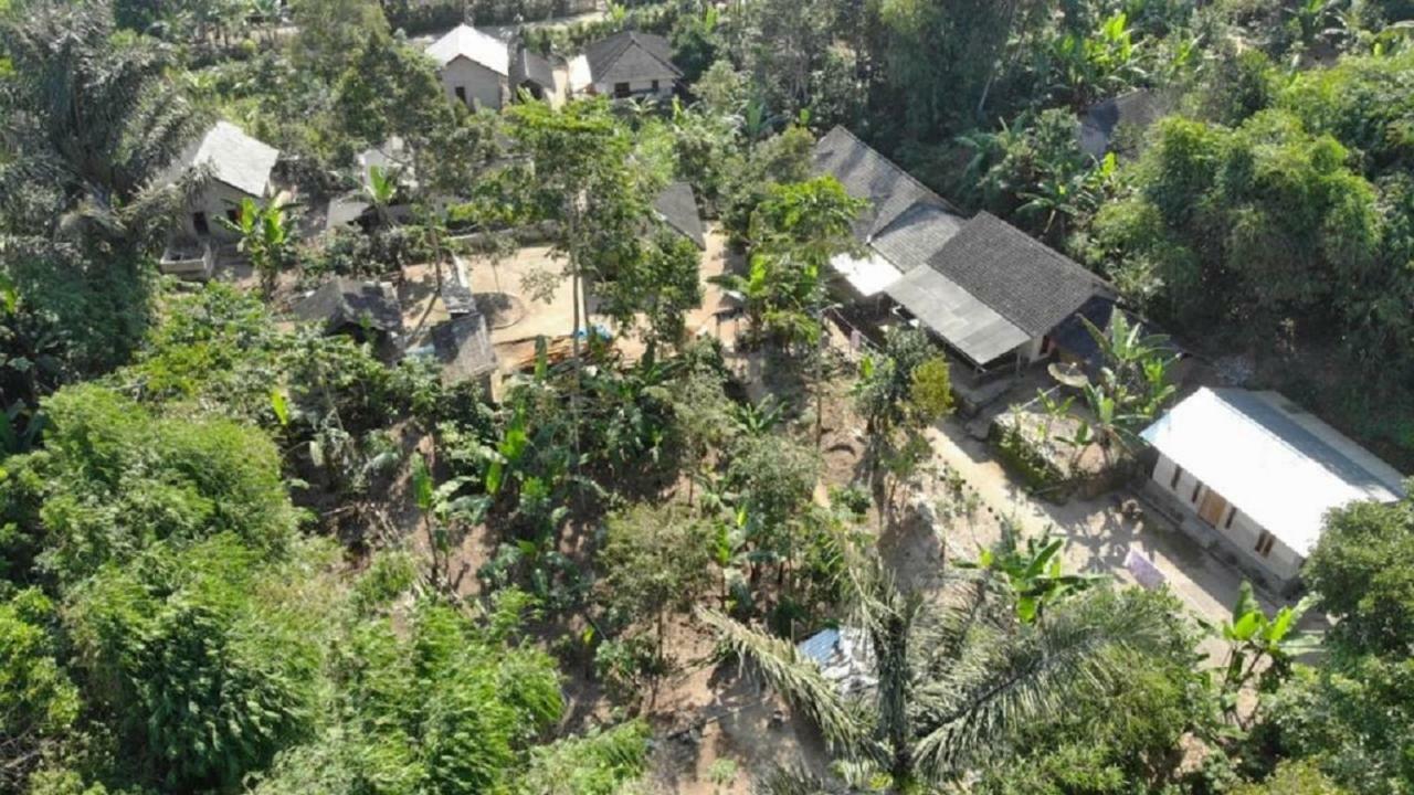 Tereng Wilis Jungle Inn Tetebatu Exterior foto