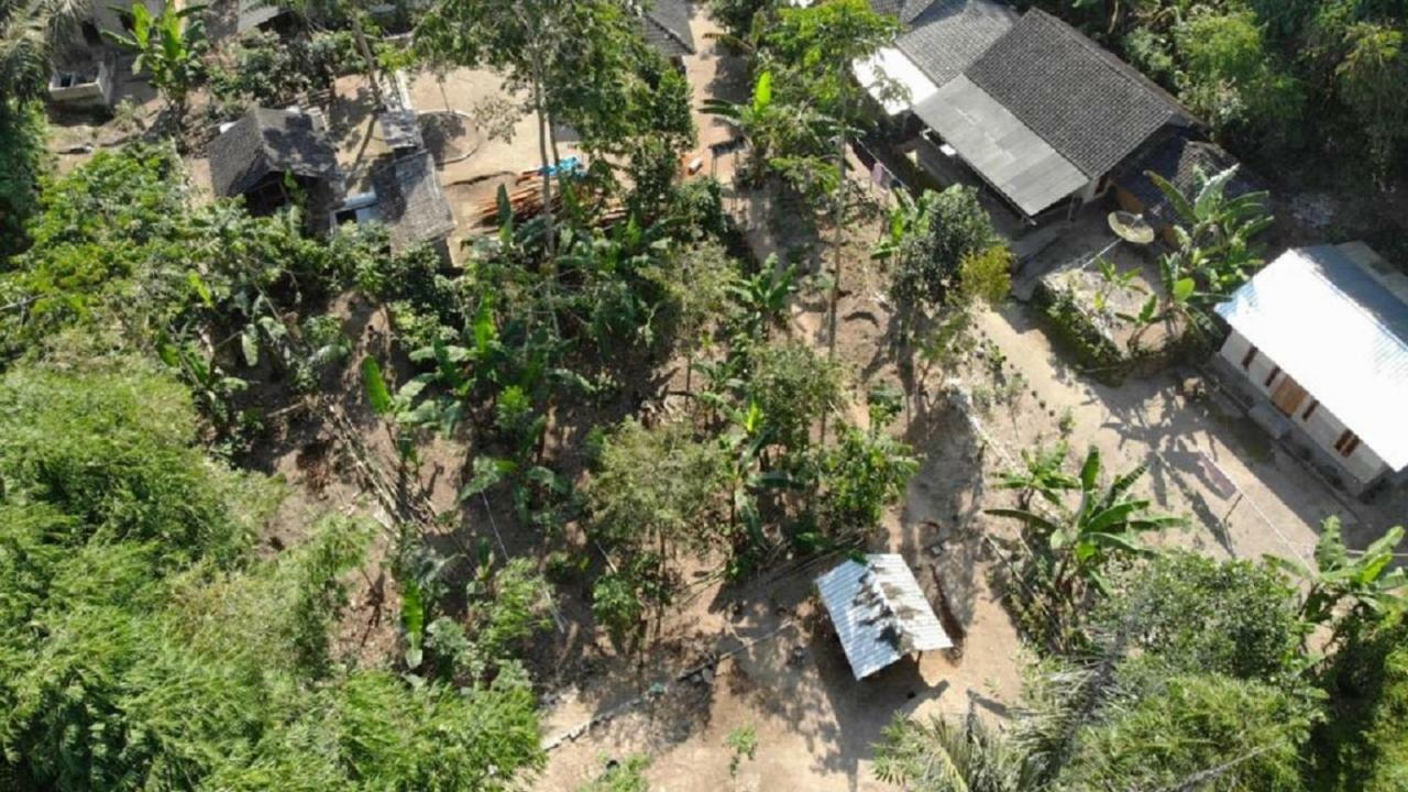 Tereng Wilis Jungle Inn Tetebatu Exterior foto